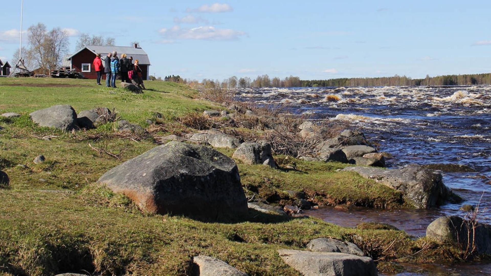 Kukkolaforsen forsränning