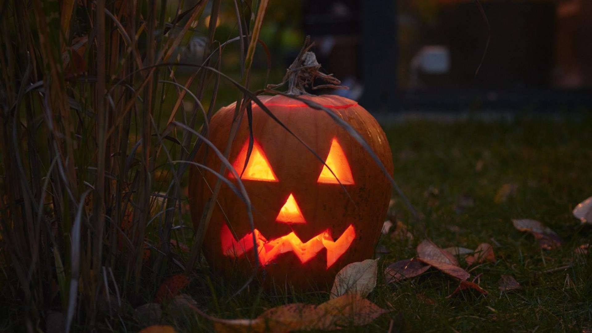 Gasten är högröstad