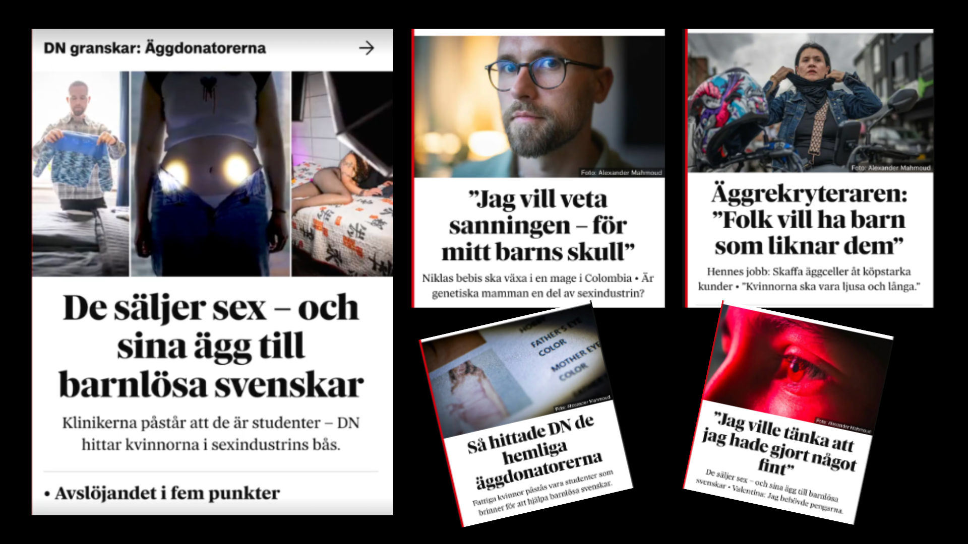 Äggdonatorerna