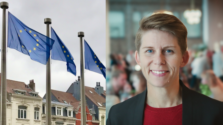 EU-flaggor och Ulrika Hyllert 