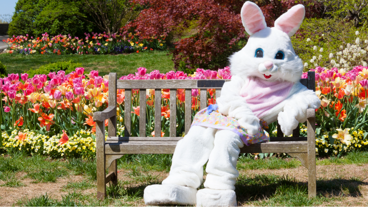 Då kan du luta dig tillbaka i påsk